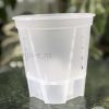 IMG_4663 Self watering pot - 15cm