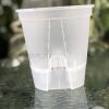 IMG_4664 Self watering pot - 15cm