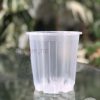 7cm Clear Nursery Pot
