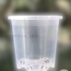 9cm Clear Nursery Pot