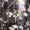 Scindapsus Jade Satin