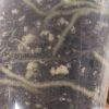 Scindapsus Jade Satin albo (halfmoon)