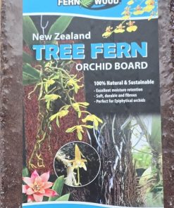 Tree Fern Orchid Board - twin pack
