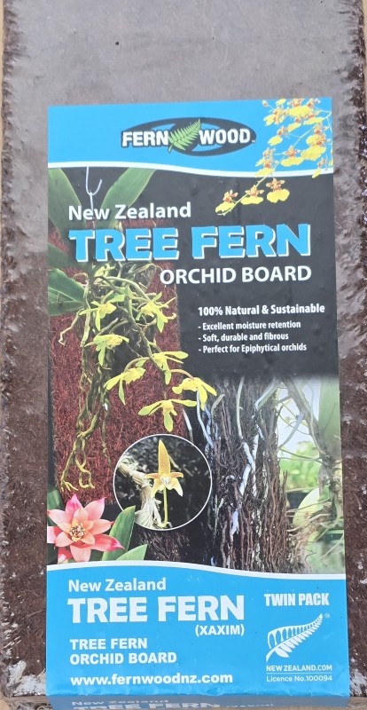 Tree Fern Orchid Board - twin pack