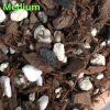 Greenlove Aroid & Hoya Mix