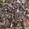 Greenlove Hoya Mix