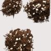 Greenlove Propagation/Starter Mix