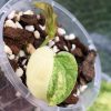 Anthurium Variegated Forgetii X | Plant B