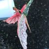 Begonia Snow Capped Variegated