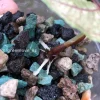 Variegated Alocasia Azlanii Albo Pink