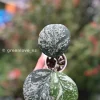 Hoya Obovata Silver Splash