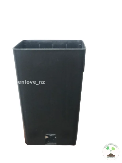 Nursery pot 5cm