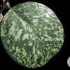 Hoya Obovata Splash