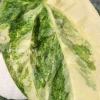 Anthurium ‘Ace of Spades’ Variegated